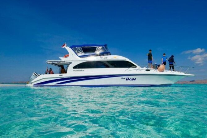 One Day Trip to Komodo National Park, Using a Luxury Fast Boat - Additional Recommendations