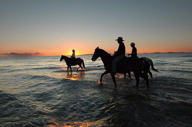 One Hour Horse Riding With Transfer From Hurghada - Additional Details