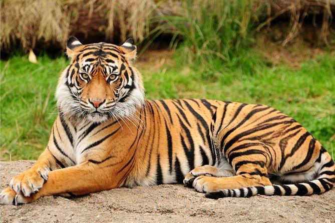 One Way Tour From Agra To Jaipur With Ranthambore Tiger Safari - Cancellation Policy