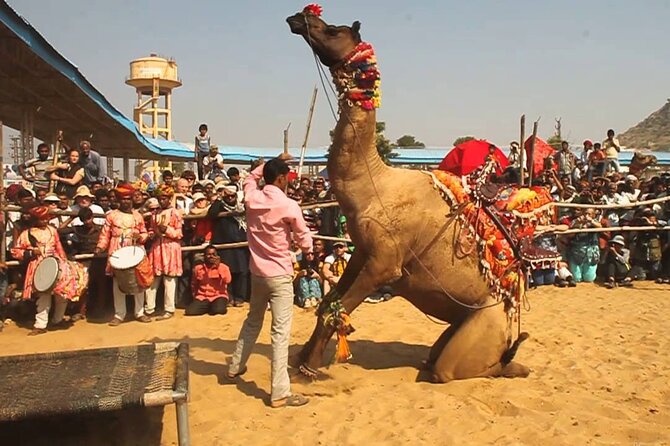 One Way Transfer From Jaipur To Pushkar in AC Vehicle With Lunch - Directions for Booking