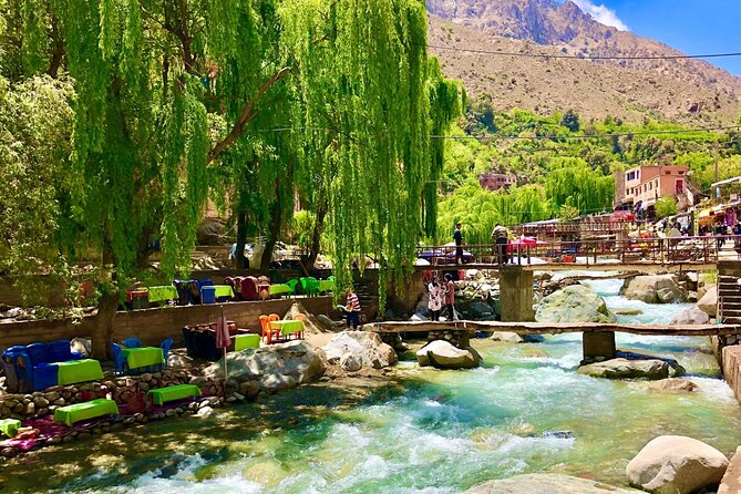 Ourika Valley Full-Day Trip From Marrakech - What To Expect