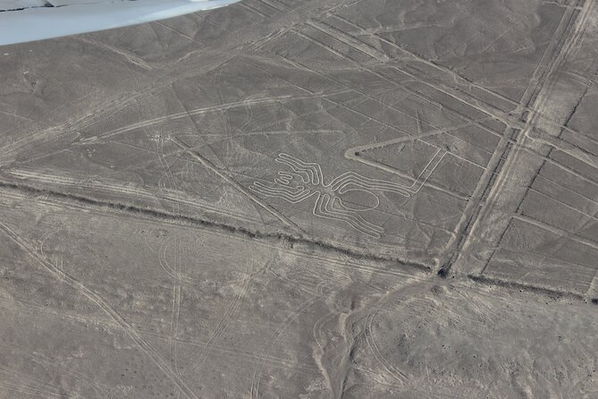 Overflight Nasca Lines and Land Tour to Cahuachi - Booking Information and Pricing