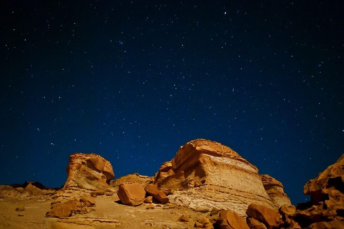 Overnight Camping at Wadi ElHitan - Contact & Support