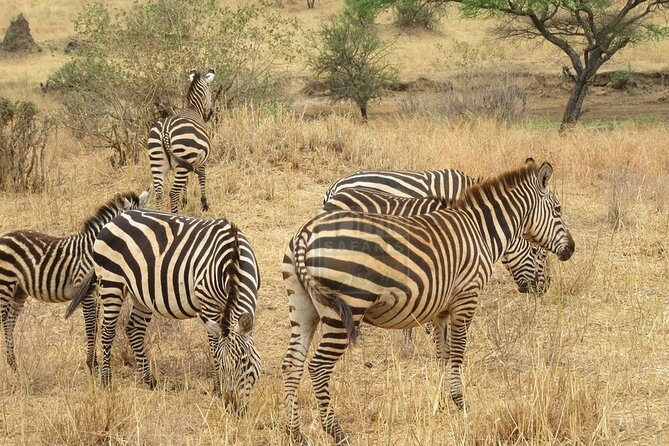Overnight Safari to Amboseli National Park - Directions