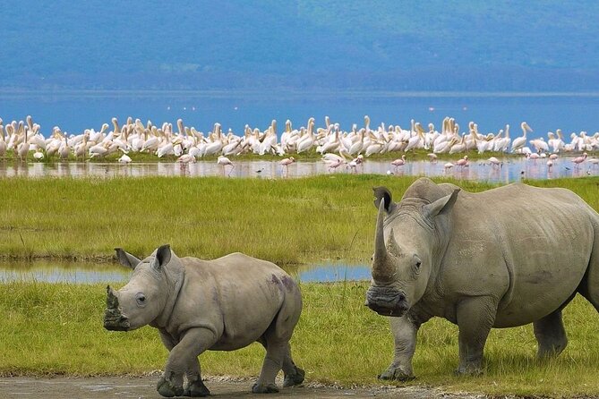 Overnight Safari to Lake Nakuru And Hells Gate Park - The Sum Up
