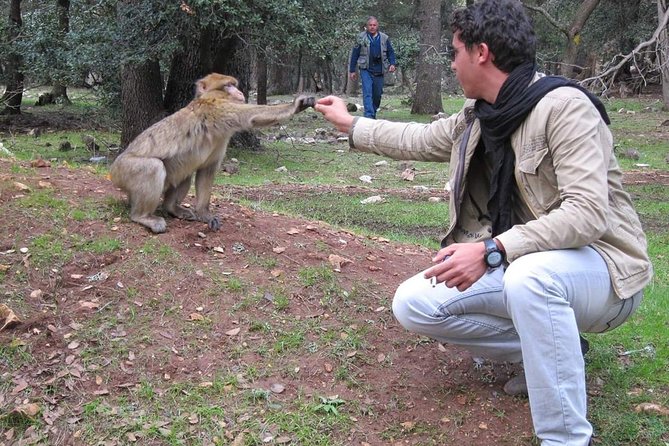 Overnight Sahara Desert Trip From Fez To Marrakech ( Small Group ) - Cancellation Policy
