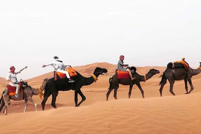 Overnight Small-Group Desert Tour From Fez With Camel Ride and Desert Camp - Tour Accessibility