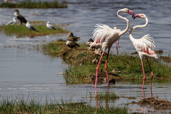Overnight Tour to Hell Gate Park and Lake Nakuru National Park - Booking Confirmation