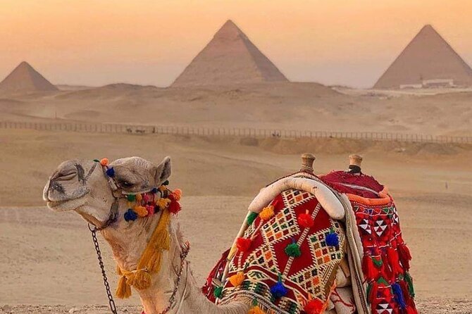 Package 4 Day: Cairo Short Break Cairo Pyramids - Steigenberger -Hotel - Booking Details