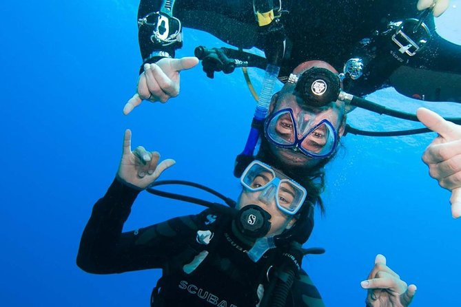 PADI Advanced Open Water Diving Course & Certificate - Hurghada - Logistics and Operations