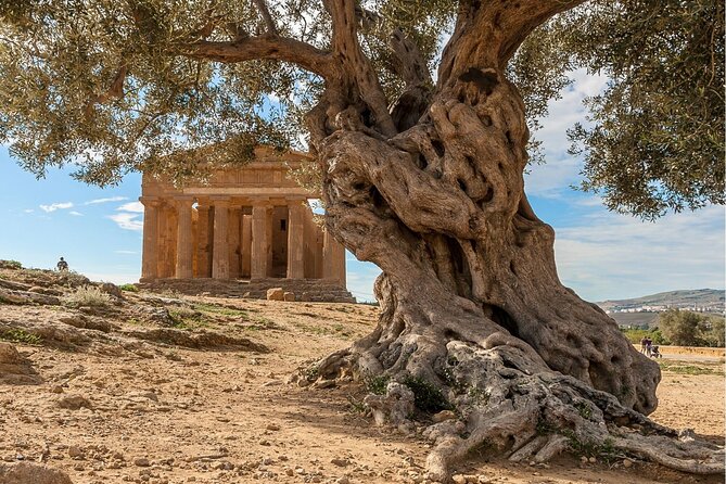Palermo to Taormina Tour With a Stop in Agrigento and Armerina - Frequently Asked Questions