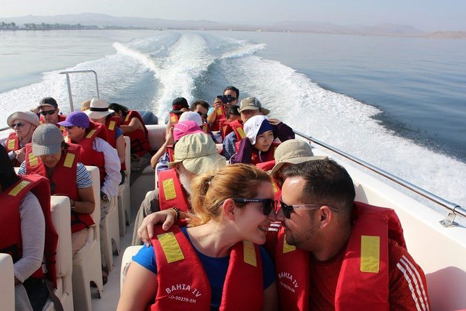 Paracas Full Day (Ballestas Islands) - The Sum Up
