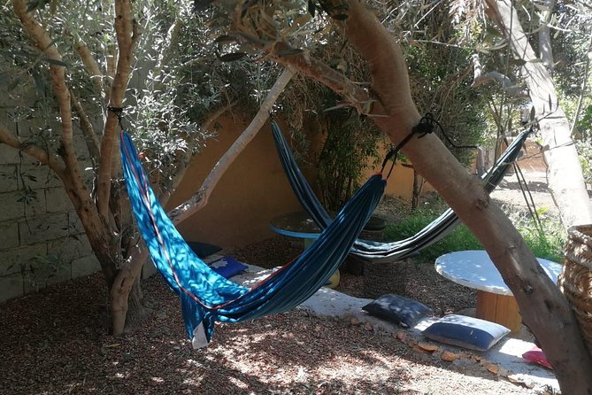 Paradise Valley Trip + Cooking Class From Agadir & Taghazout - Availability and Timing