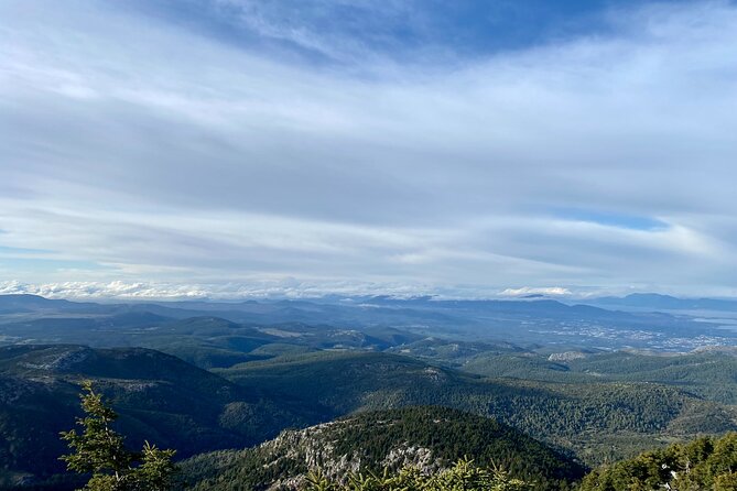 Parnitha Mountain Private Hiking Tour - The Sum Up