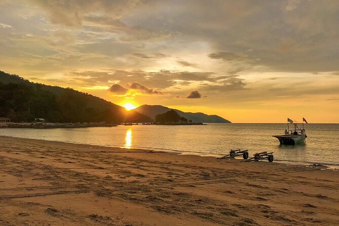 Penang Full Day Tour - Pricing and Group Size