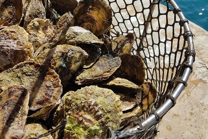 Perfect Private Oyster and Wine Tasting With Boat Ride - Booking Information