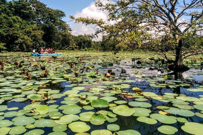 Pidurangala and Hiriwaduna Village Tour From Sigiriya - Tour Inclusions