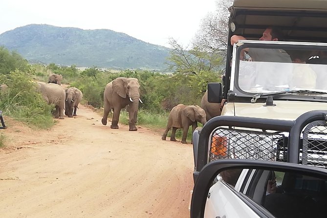 Pilanesberg Safari 3 Days - Secure Your Spot