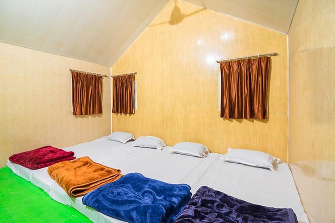 Pine Forest Camping Near Shimla - 1 Night - Evening Entertainment and Transportation