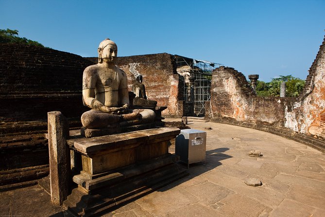 Polonnaruwa Ancient Kingdom and Wild Elephant Safari From Kandy - Safari Experience