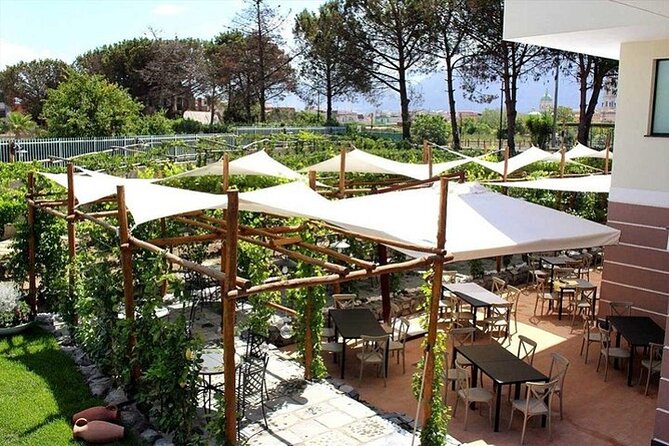 Pompeii and Vesuvius Tour With Lunch Wine Tasting From Sorrento - Reservation and Reviews