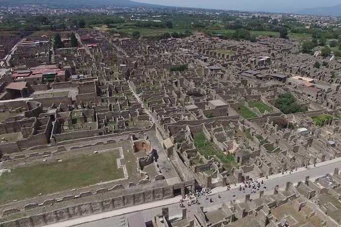 Pompeii Halfday Excursion From Naples, Sorrento or Amalfi Coast - Terms and Conditions
