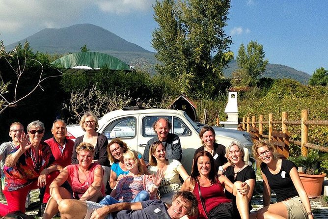 Pompeii Private Tour + Wine Tour and Tasting Menu Near Vesuvius - Price and Cancellation Policies