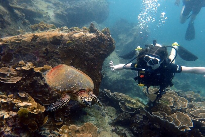 Premium Non Certified Beginner Scuba Diving in Racha Yai/Noi - Frequently Asked Questions