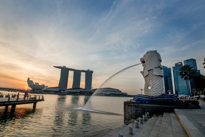 Premium Singapore City With Singapore Flyer - Meeting Point and Pickup Details