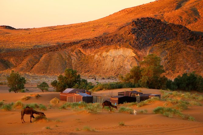 Private 2-Day Camel Trekking in Merzouga All Inclusive With Night in Luxury Camp - What to Expect