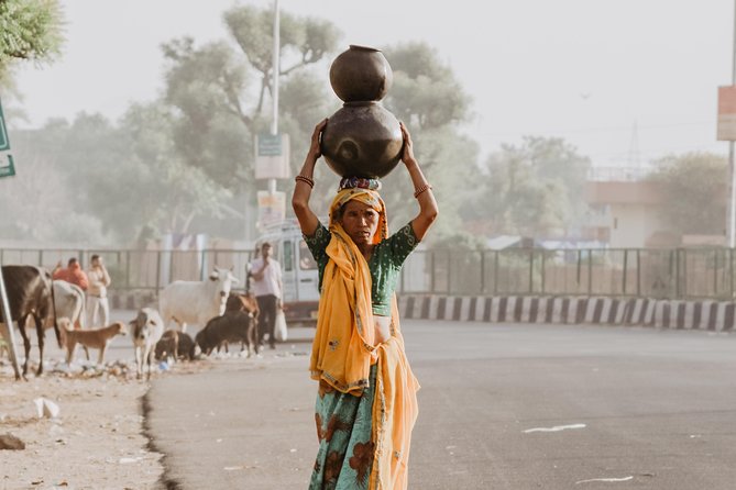 Private 2 Days Tour Including City Tour of Delhi and Agra by Car - Tour Operator Information