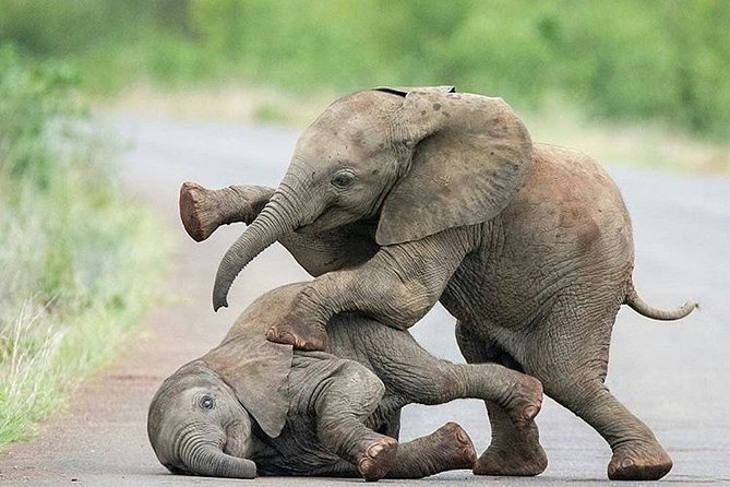 Private 3 Day Luxury Wildlife Migration Safari - Booking Your Safari Experience