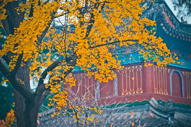 Private 3-Day Tour Featuring Shaolin Temple and Other Must-See Spots in Henan - Accessibility and Health Guidelines