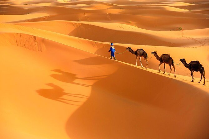 Private 3 Days Desert Tour From Marrakech to Merzouga Desert - Frequently Asked Questions