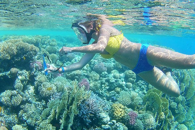 PRIVATE 4 Hours Speed Boat to Paradise Island Trip & Water Sport - Hurghada - Additional Notes