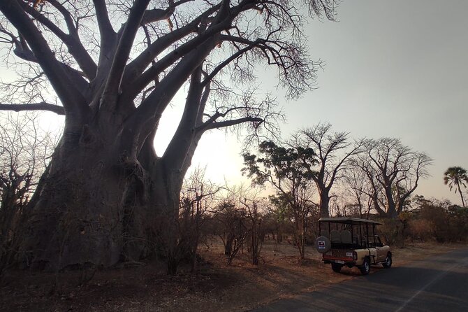 Private 4x4 Night Safari Tour in Victoria Falls - Operated by
