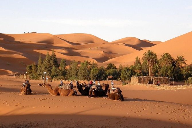 Private 5 Days Journey to the Golden Desert - Accessibility Details