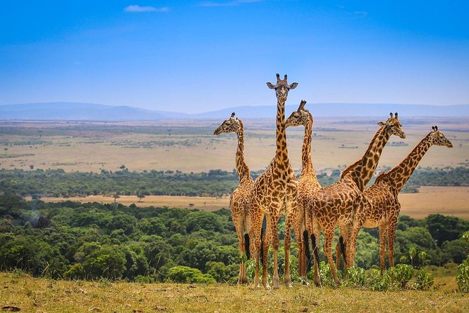Private 6-Day Camping Tour: Amboseli, Lake Nakuru, and Masai Mara Safari - Requirements and Restrictions