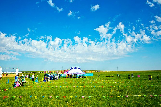 Private 6-Day Xilamuren Grassland, Mausoleum Of Genghis Khan And Baotou Tour - Guide Services