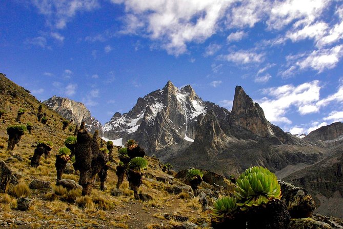 Private 7 Days Mount Kenya, Samburu, Lake Nakuru & Masai Mara Wildlife Safari - Wildlife Encounters