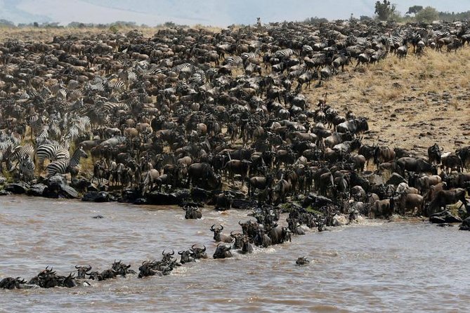 Private 9 Days Kenya Classic Lodge Safari - Cancellation Policy