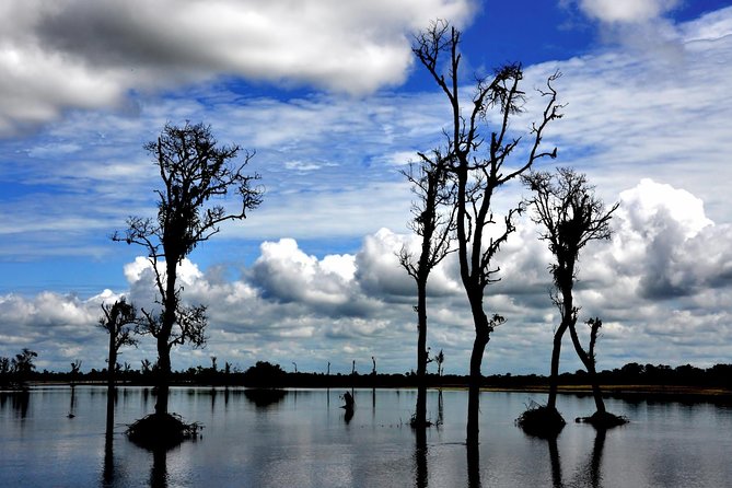 Private Assam Tea Estate, Rain Forest and River Island Tour - Itinerary Overview