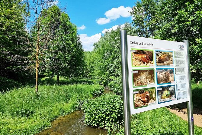 Private Audio Book City Rally Around the City Park in Fürth - Accessibility and Restrictions