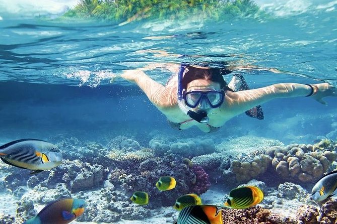 Private Boat Snorkeling Sea Trip With Sea Food Lunch and Transfer - Hurghada - Pricing Information