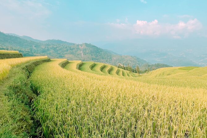 Private Car 2 Days 1 Night Hoang Su Phi in Hagiang - The Sum Up