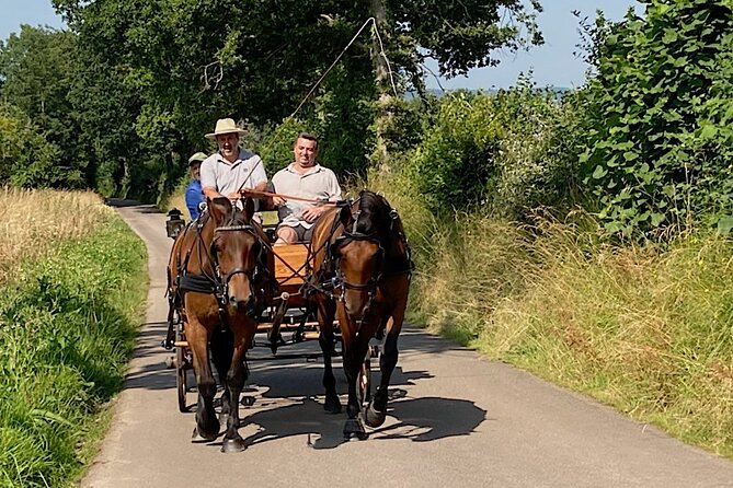 Private Carriage Ride in Saint-Pierre-Azif - The Sum Up