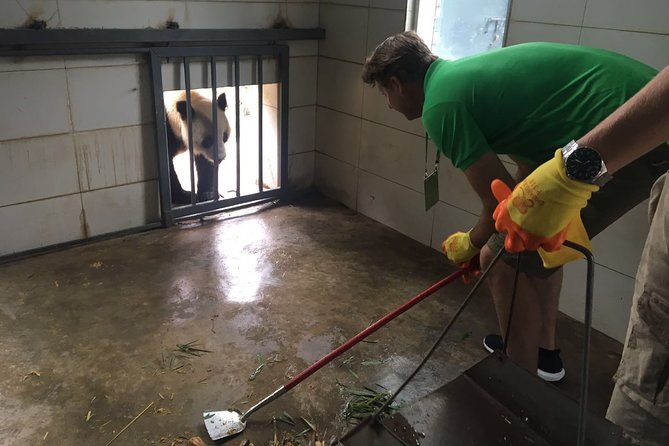 Private Chengdu Panda Volunteer and Irrigation System Tour From Suzhou by Air - Irrigation System Tour in Chengdu