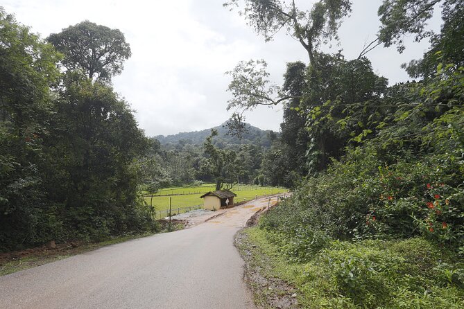 Private Coorg Cycling Tour - Nearby Landmark