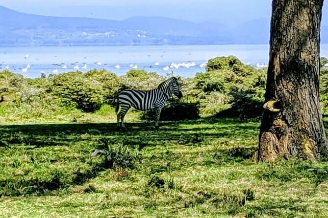 Private Crescent Island Tour and Boat Ride in Nairobi - Cancellation Policy