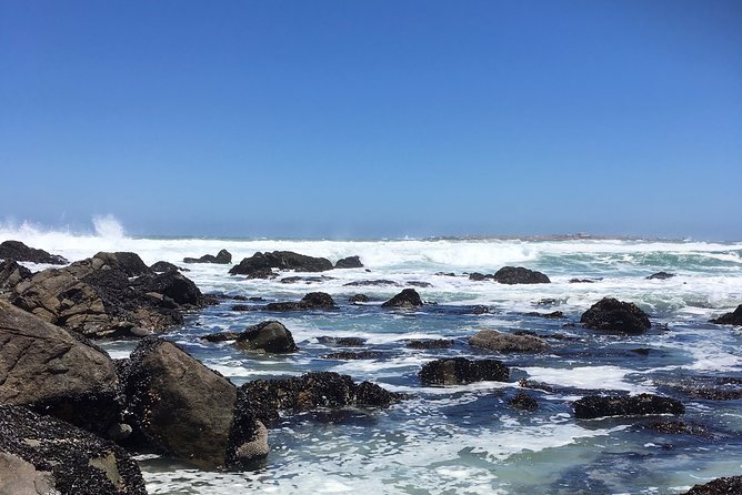 Private Day Tour Along the West Coast Around Cape Town - Tour Operator Details